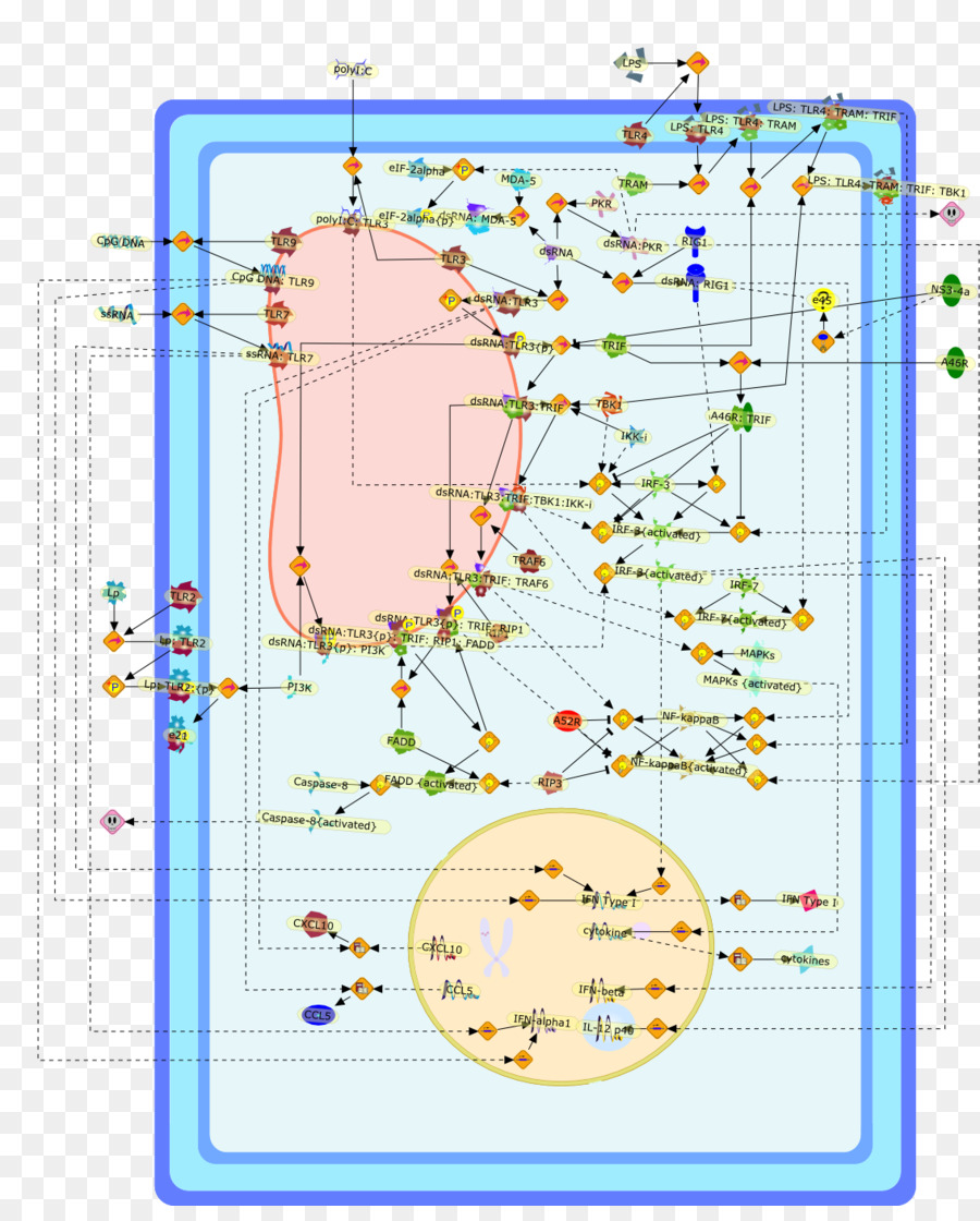 Ligne，Point PNG