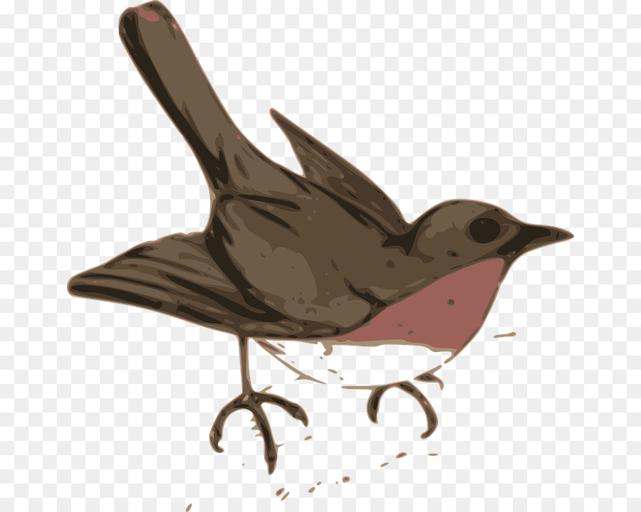 Oiseau，Wren PNG