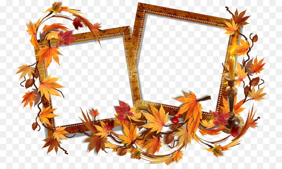 Cadres D'automne，Feuilles PNG