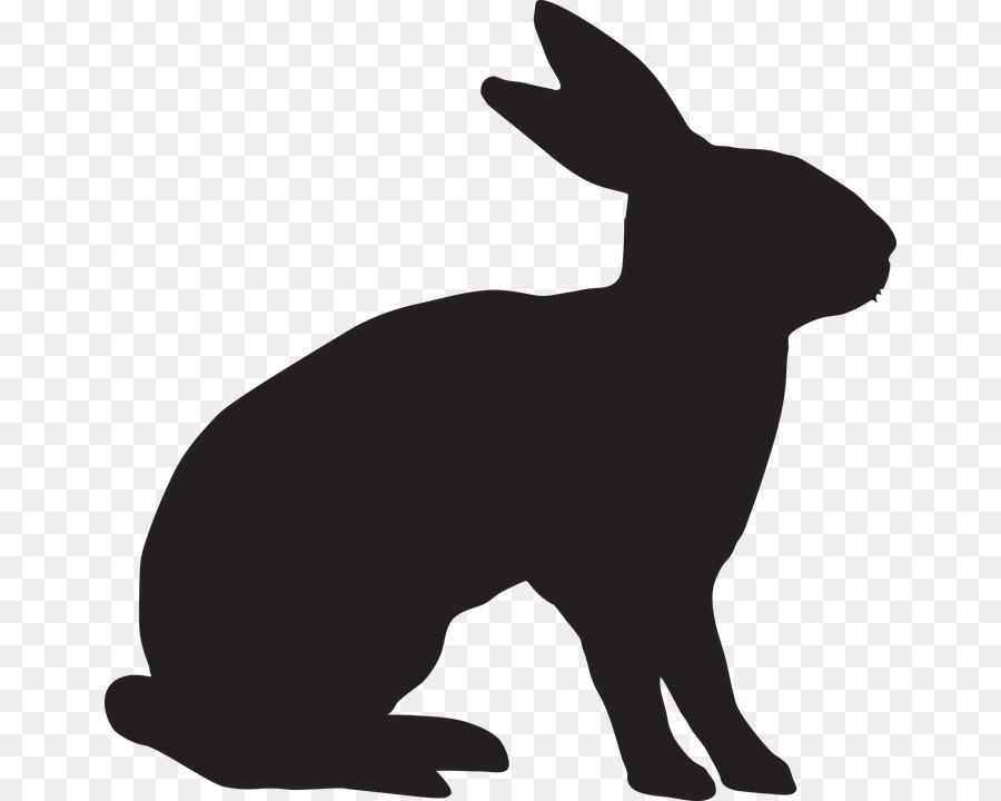 Silhouette De Lapin，Lapin PNG