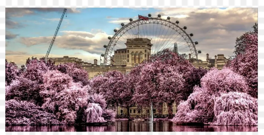 Grande Roue，Amusement PNG