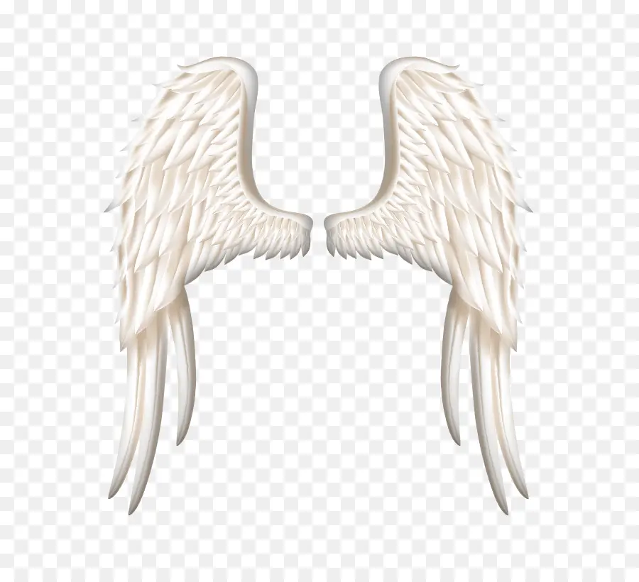 Ailes D'ange，Blanc PNG