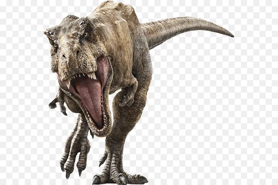 T Rex，Dents PNG