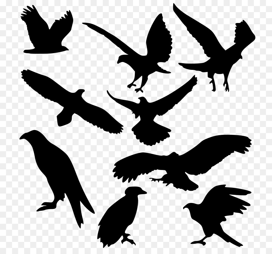 Silhouettes D'oiseaux，Vol PNG