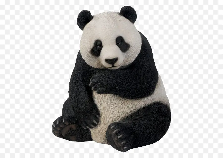 Panda Géant，Ours PNG