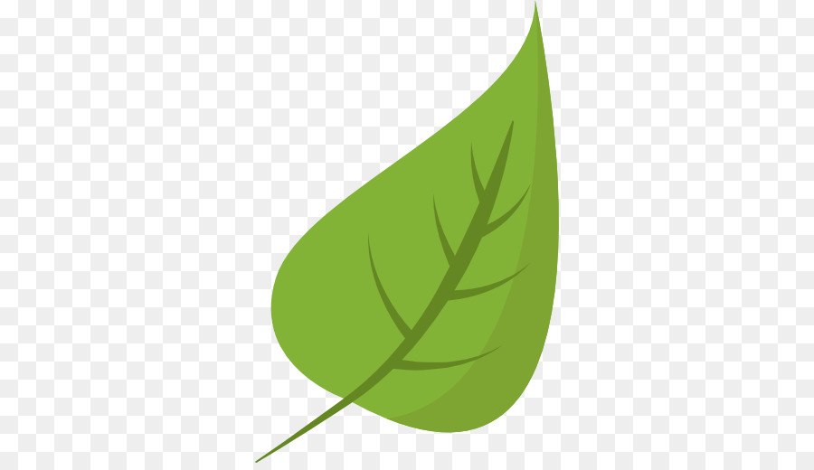 Feuilles Vertes，Usine PNG