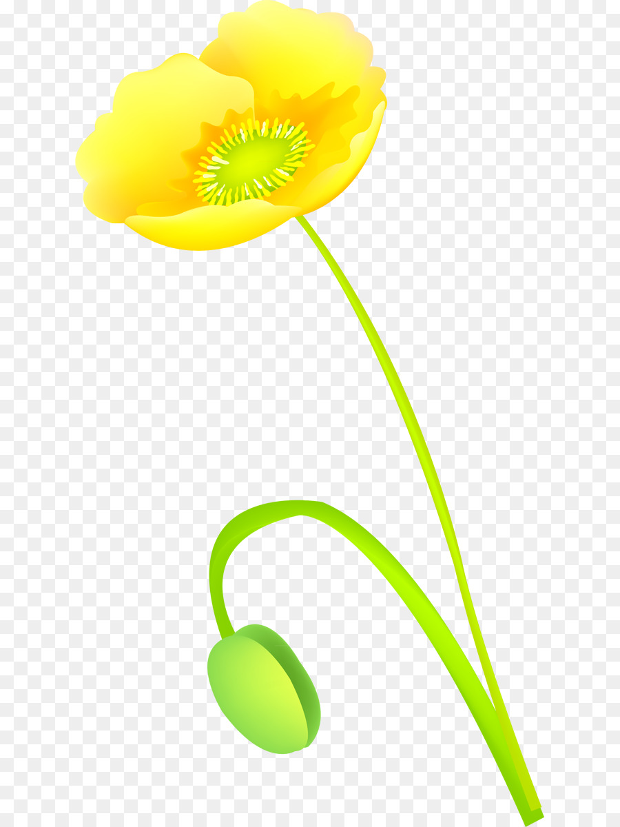 La Floraison De La Plante，Tige De La Plante PNG