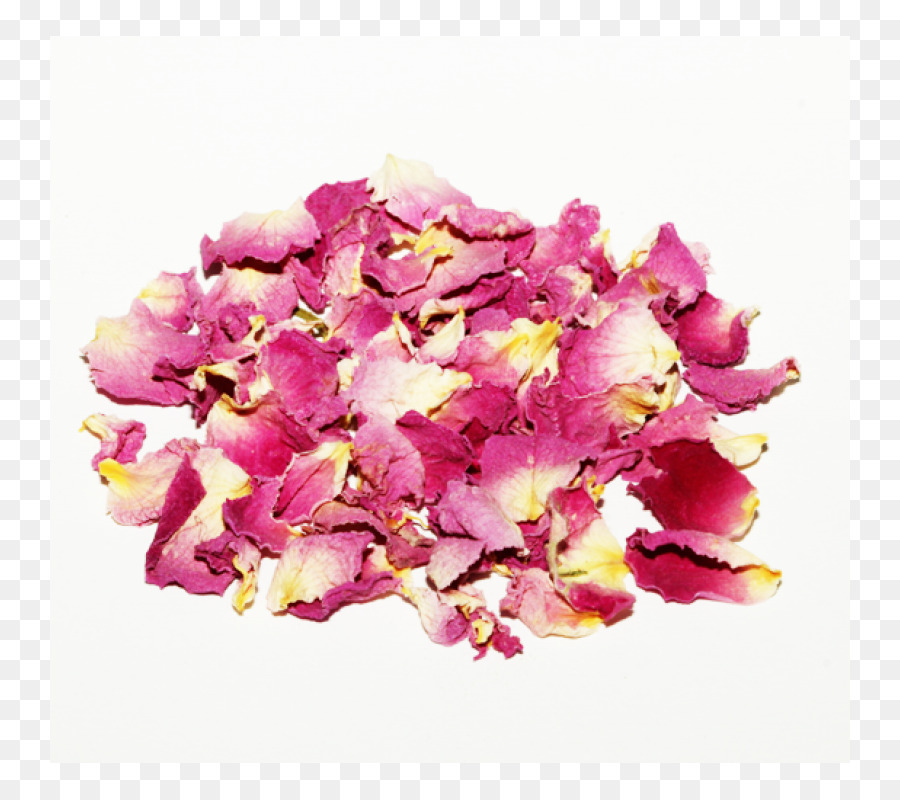 Pétales De Roses，Fleurs PNG