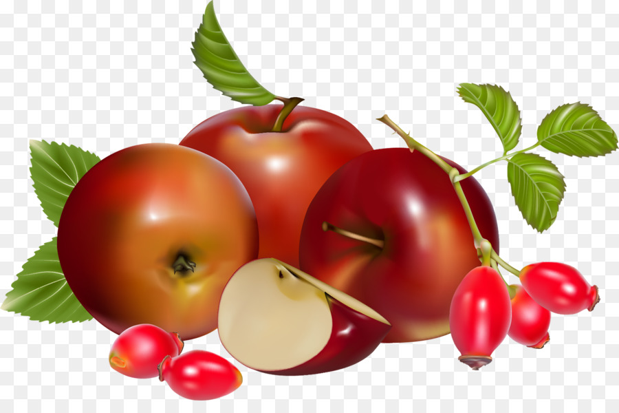 Pomme，Rose Hip PNG