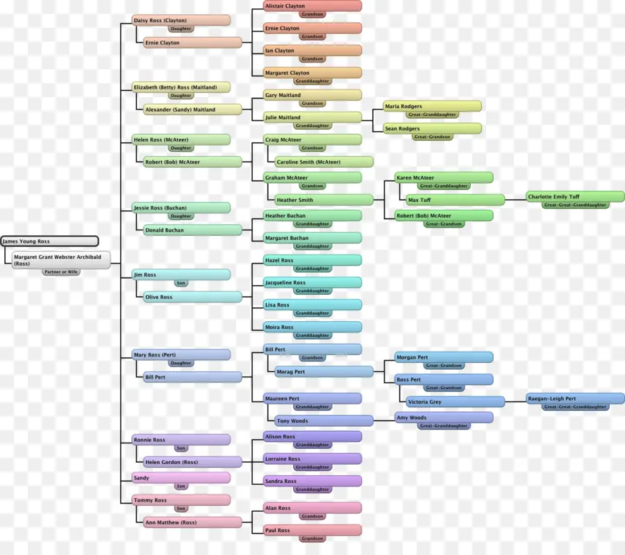 Organigramme，Structure PNG