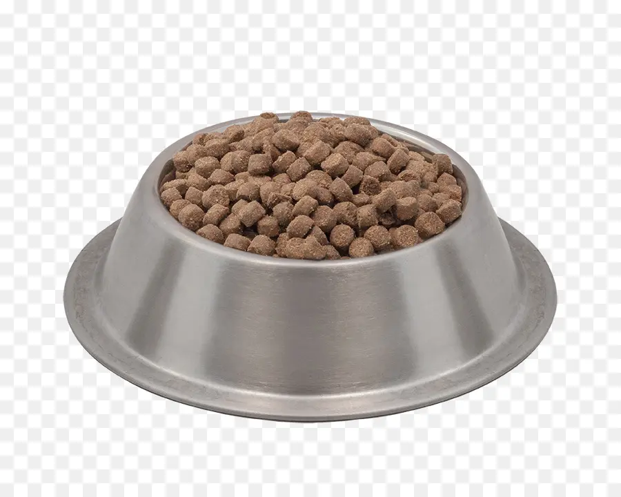 Bol De Nourriture Pour Chien，Bol PNG