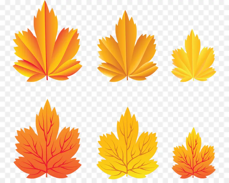 Feuilles D'automne，Automne PNG