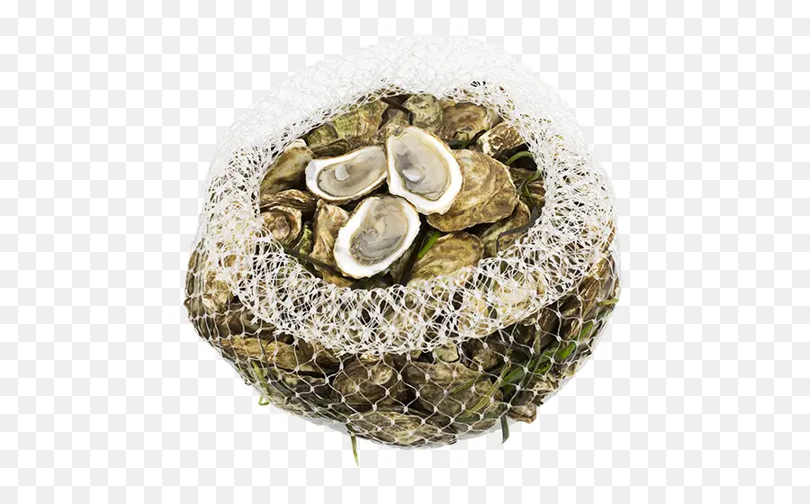 Huîtres，Fruit De Mer PNG