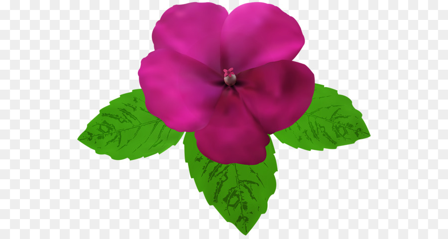 Fleur Rose，Feuilles PNG