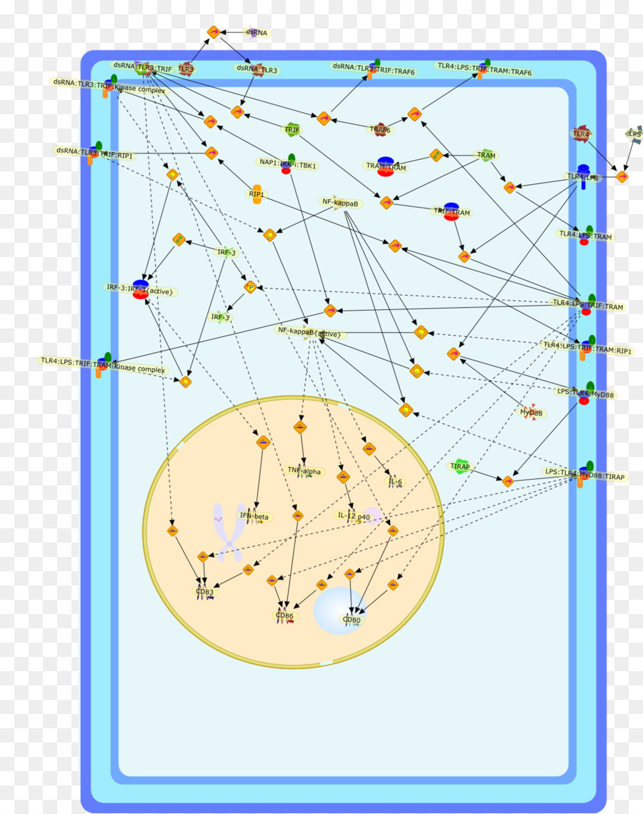 Ligne，Point PNG