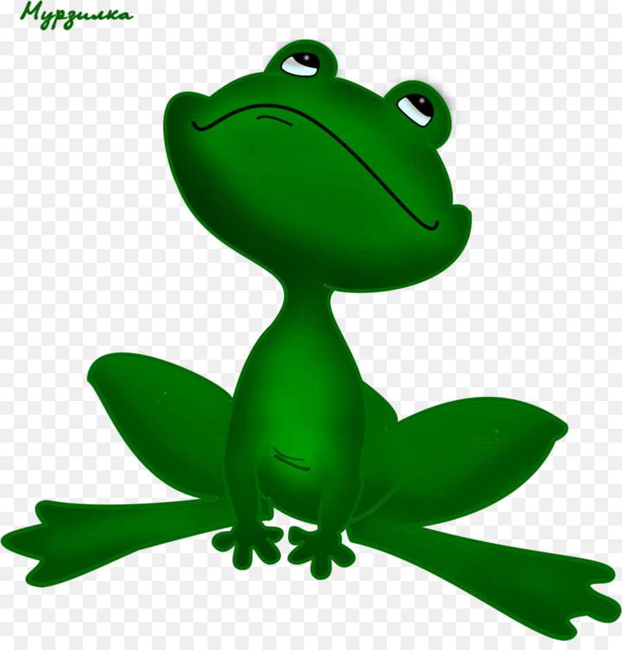 Grenouille Verte，Amphibie PNG