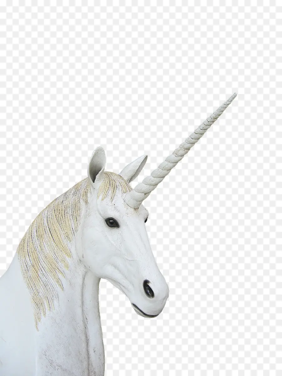 Licorne，Cou PNG