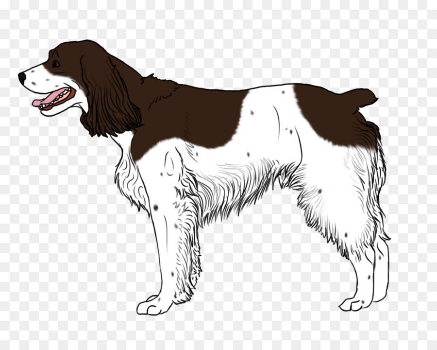 Chien Saint Bernard，Saint Bernard PNG