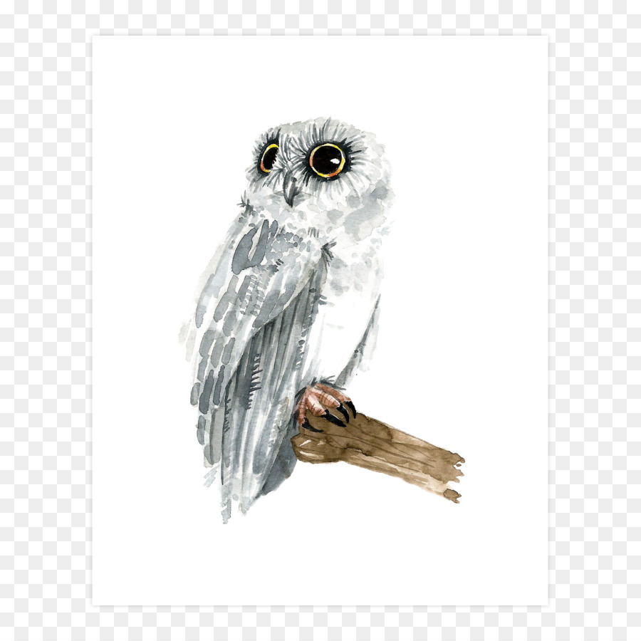 Chouette，Hawk PNG