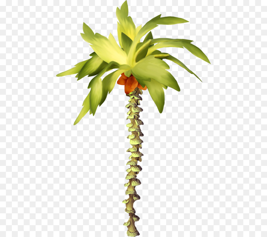 Feuille，Arbre PNG