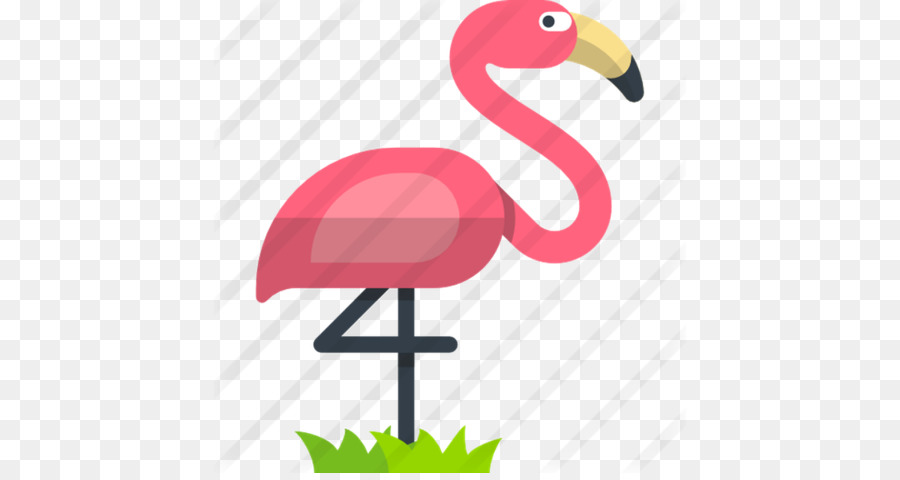 Flamant Rose，Oiseau PNG