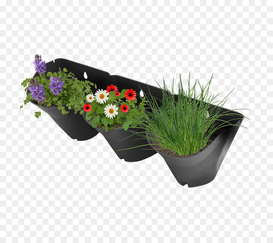 Jardinière Noire，Fleurs PNG