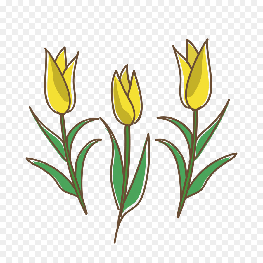 Tulipes Jaunes，Fleurs PNG