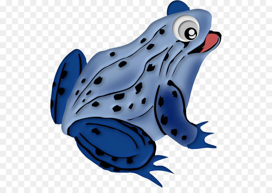 Grenouille，Bleu Poison Dart Frog PNG