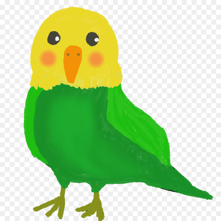 Oiseau，Plumes PNG