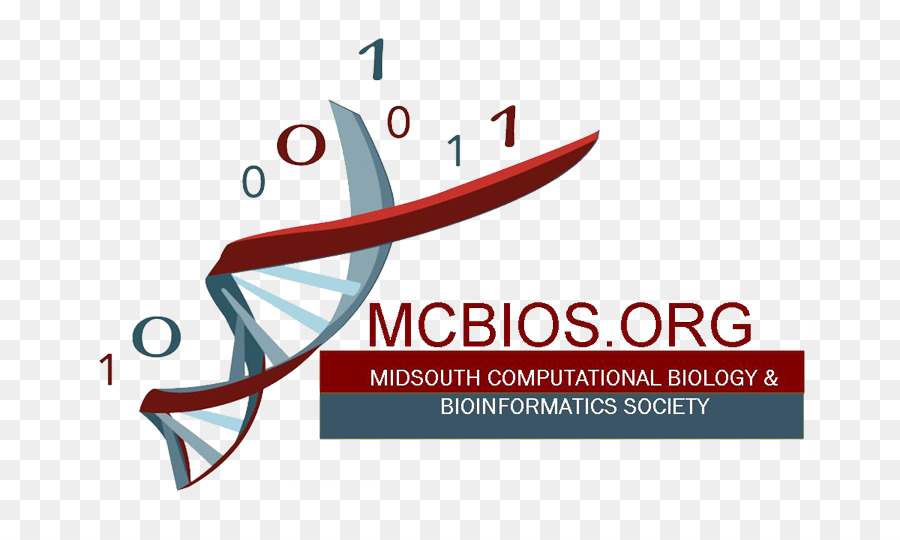 La Bioinformatique，Biologie Computationnelle PNG
