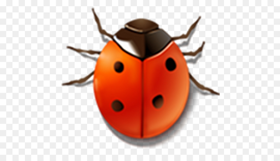 Coccinelle，Insecte PNG