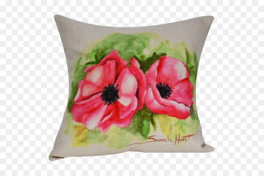 Les Coussins，Coussin PNG