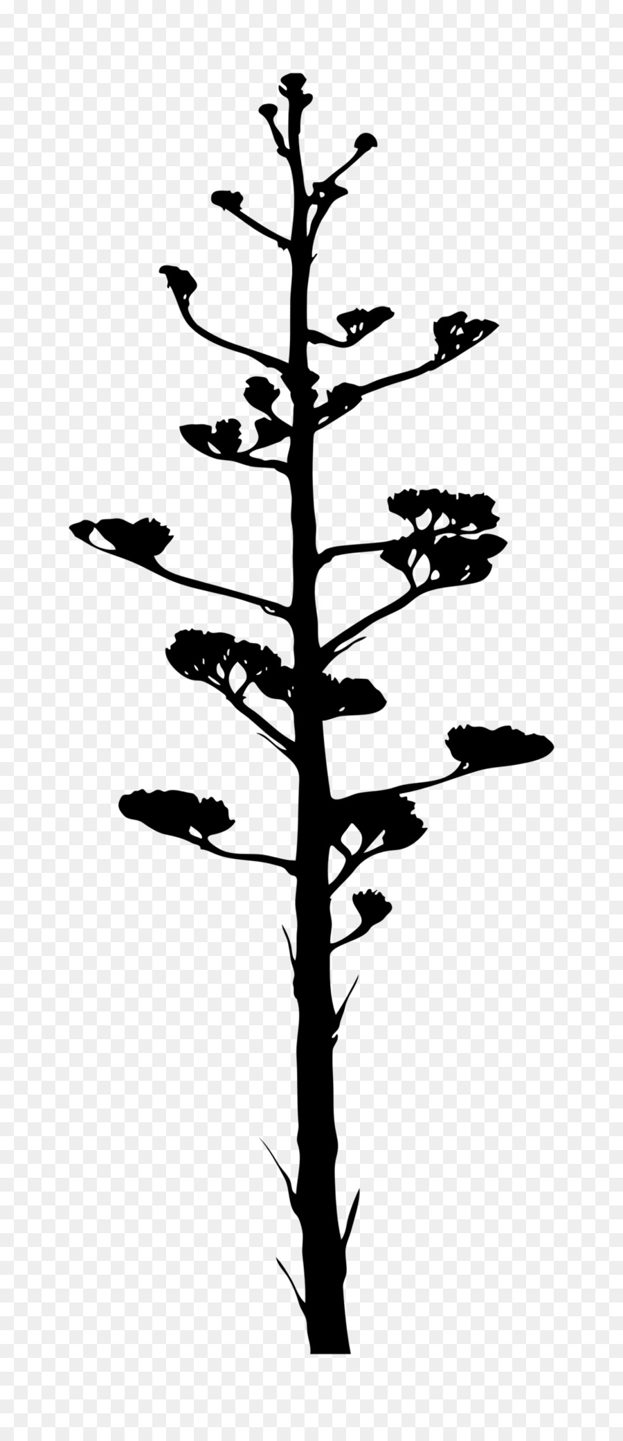 Silhouette D'arbre，Usine PNG