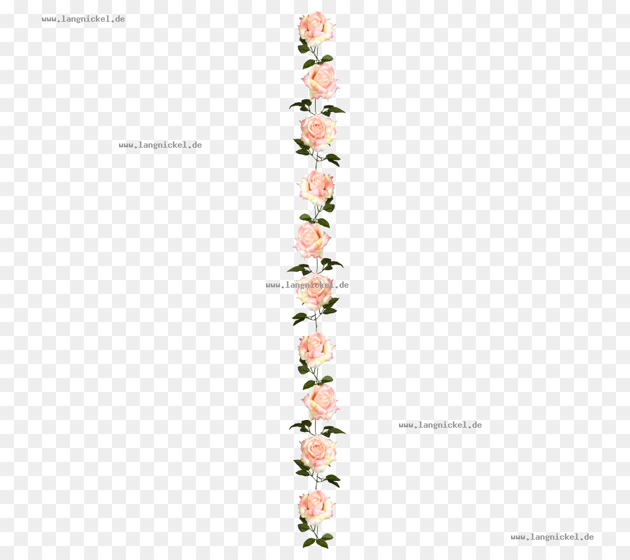 La Floraison De La Plante，Plante PNG