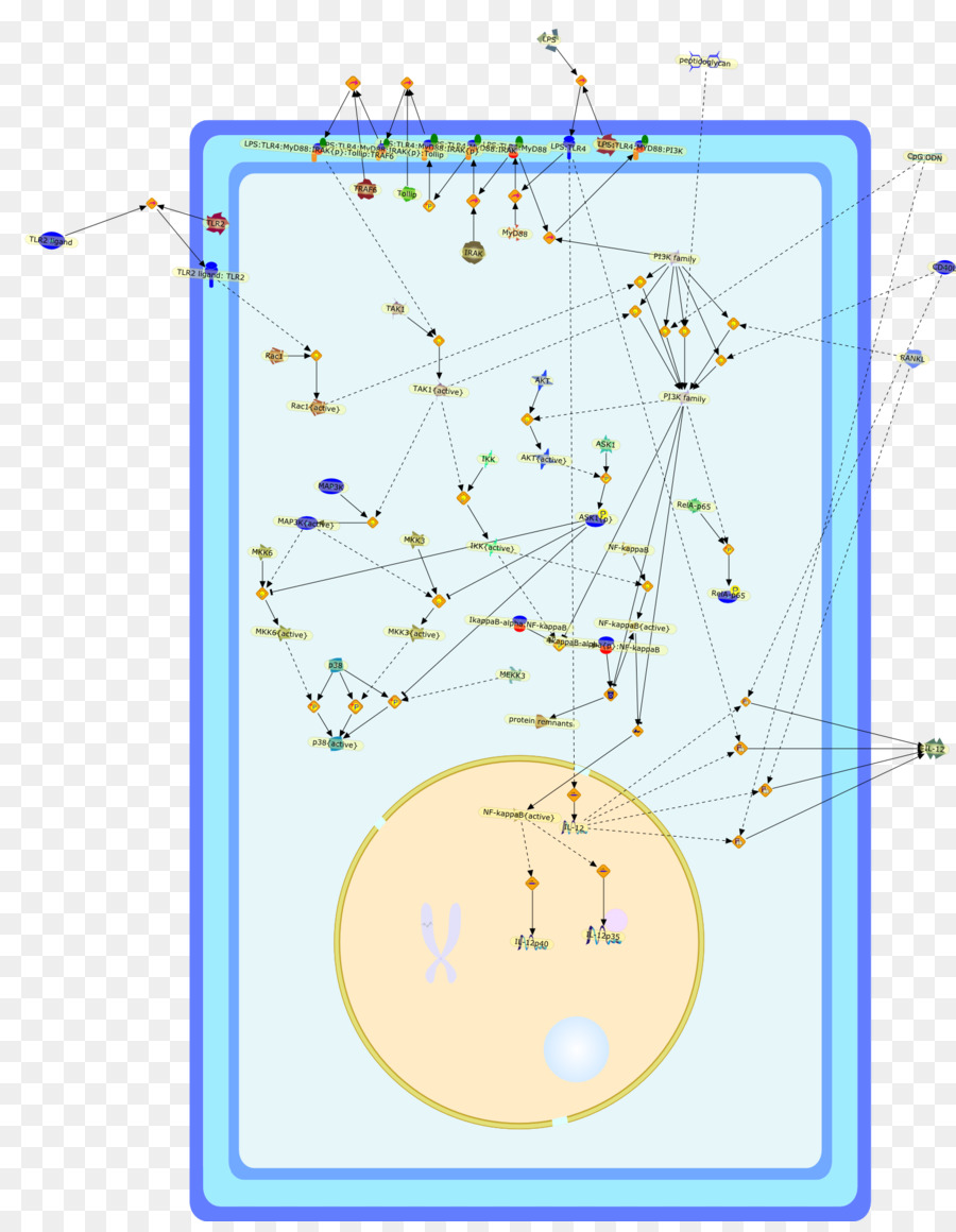 Ligne，Point PNG