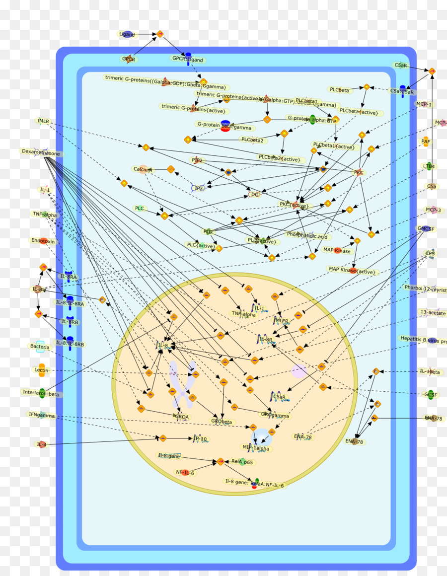 Ligne，Point PNG