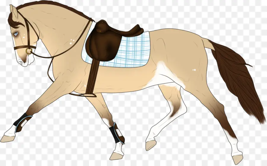 Cheval，Selle PNG