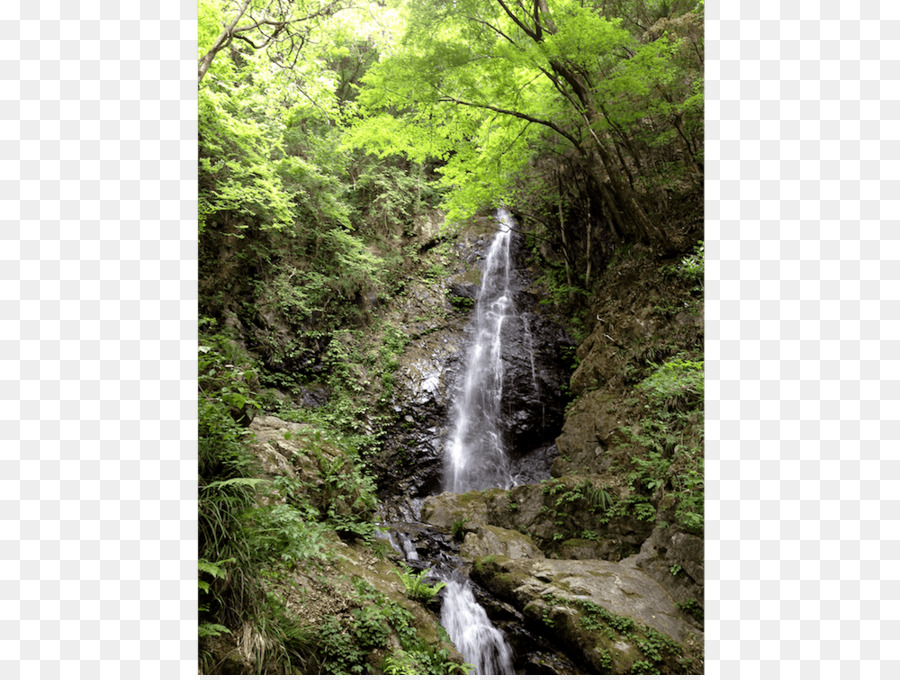 Cascade，Forêt PNG