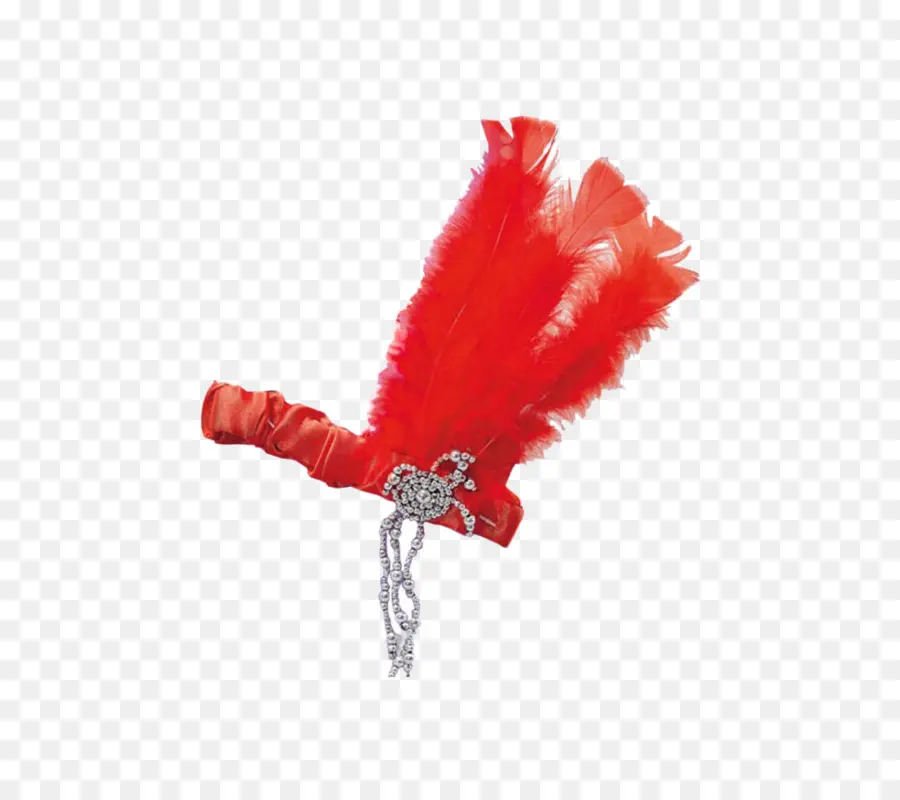 Bandeau Plume Rouge，Plumes PNG