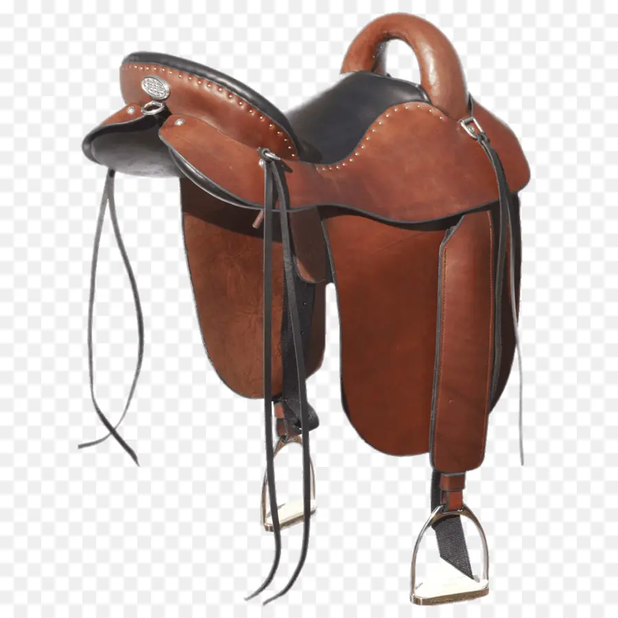 Selle De Cheval，Équitation PNG