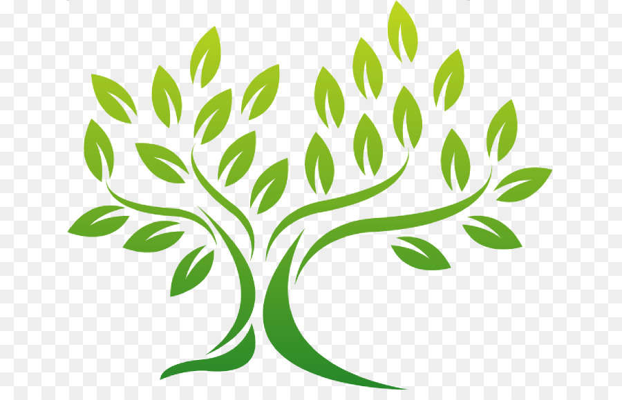 Arbre，Feuilles PNG