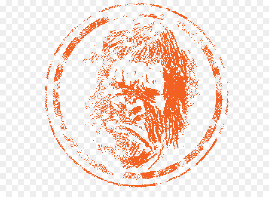 Visage De Gorille，Orange PNG