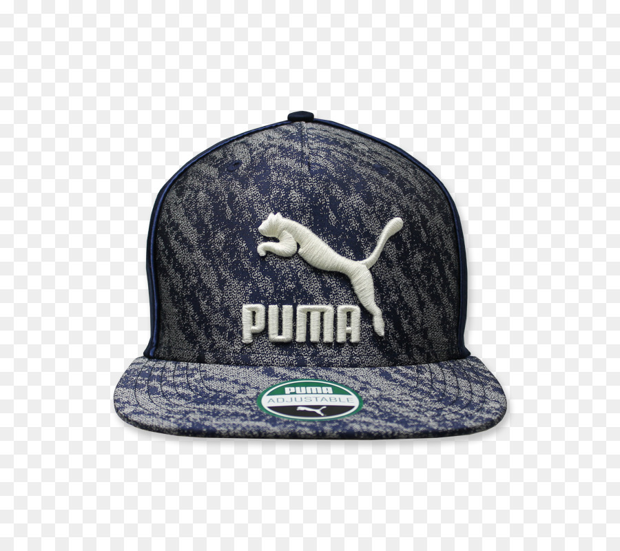 Casquette De Baseball，Puma PNG