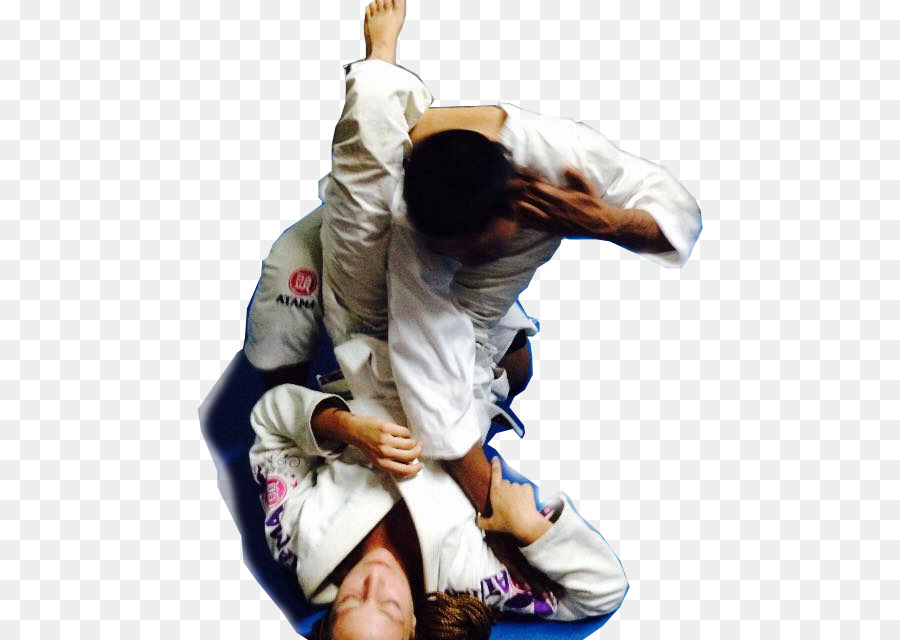 Jiujitsu Brésilien，Le Hapkido PNG