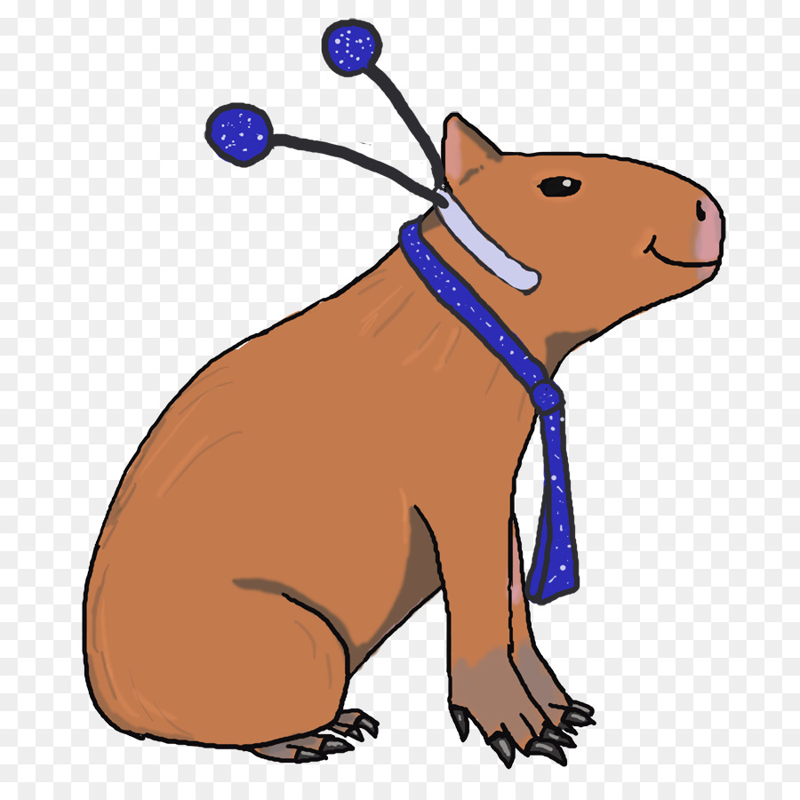 Capybara，Cochon D'inde PNG