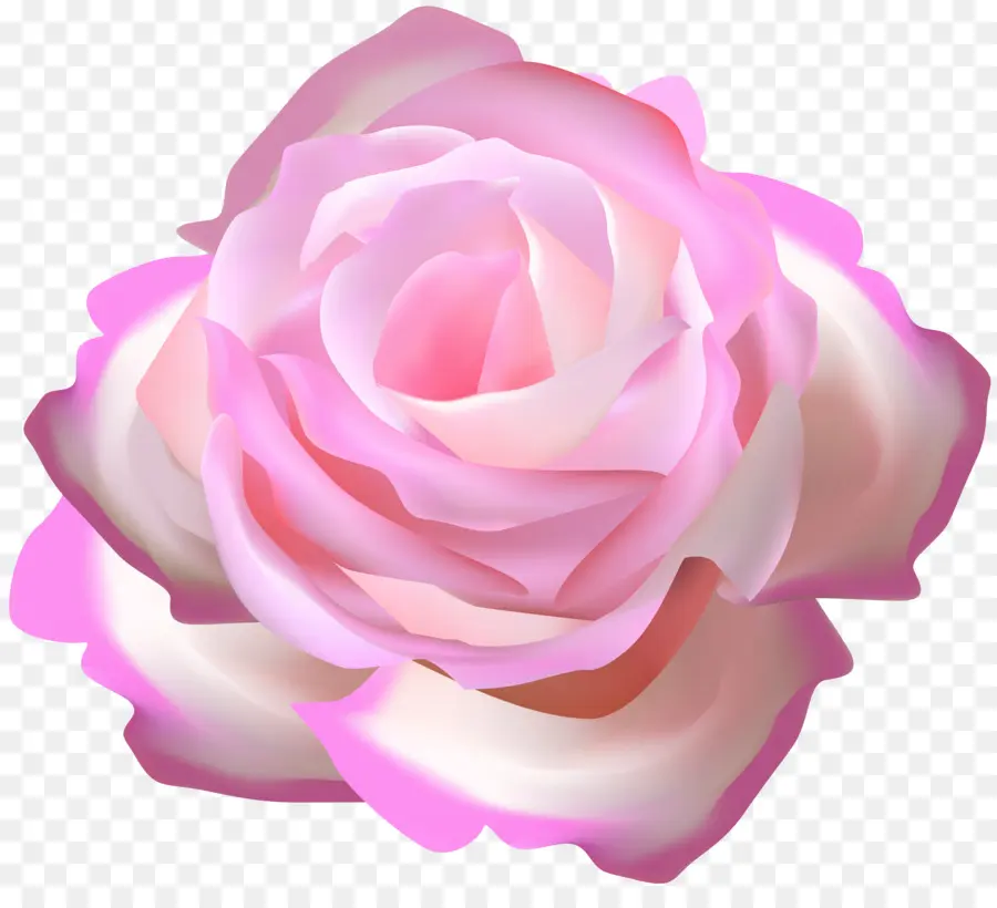 Roses Violettes，Bouquet PNG