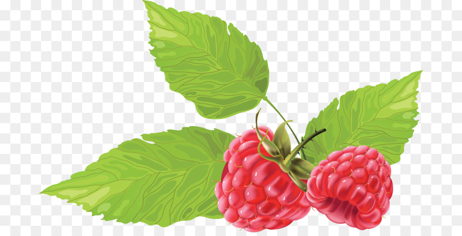 Framboises，Baie PNG