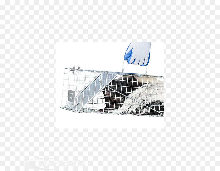 Cage，Le Piégeage PNG