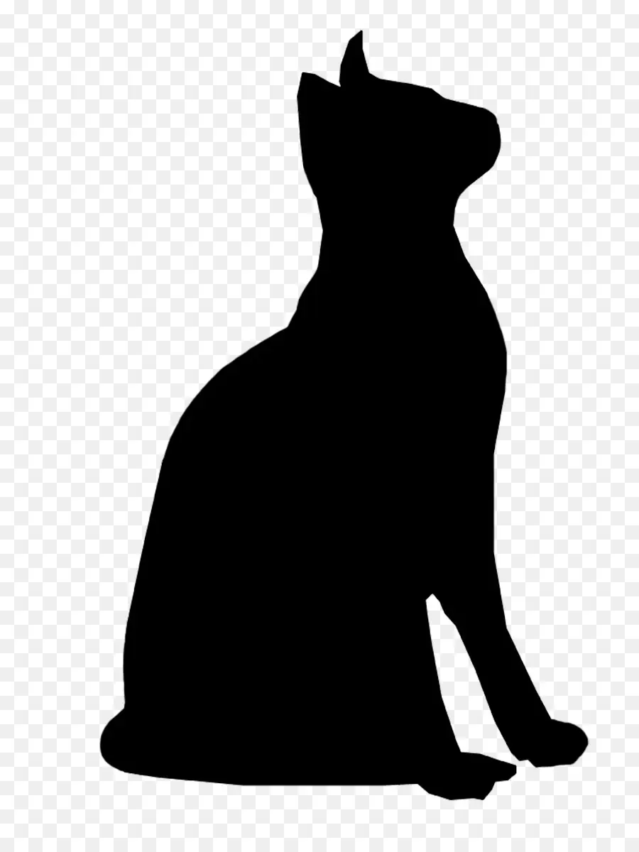 Chat，Silhouette PNG