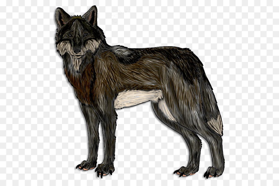 Loup Gris，Coyote PNG